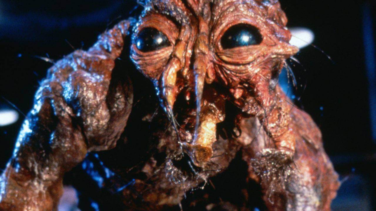 La mosca
